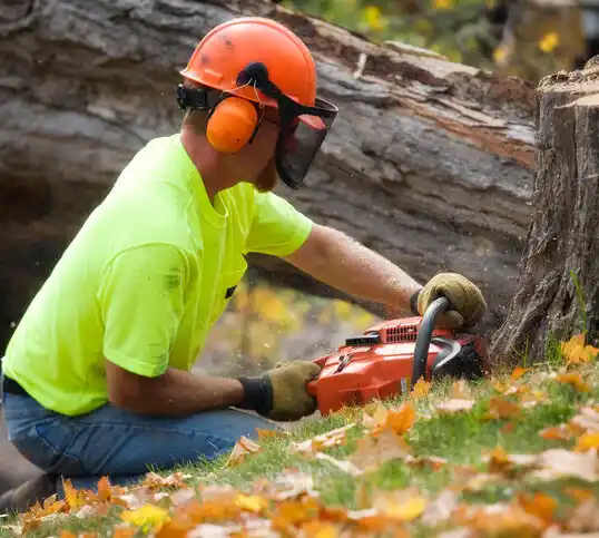 tree services Morgan